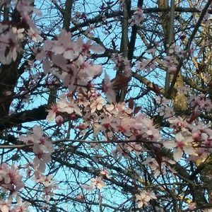 Meet your Posher, Wendy